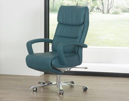 Directie Fauteuil Cosy