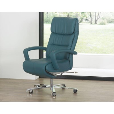 Directie Fauteuil Cosy