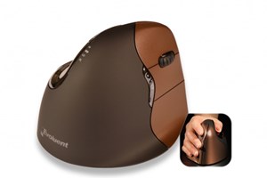 Ergo Mouse Evoluent 