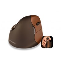 Ergo Mouse Evoluent 